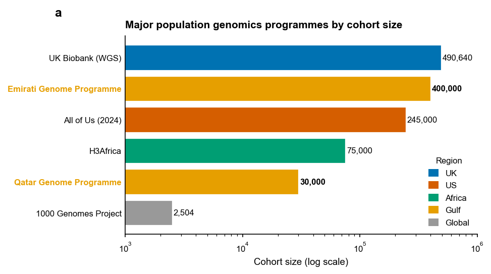 Bar chart of major population genomics programmes by cohort size on a log scale, highlighting the Gulf programmes