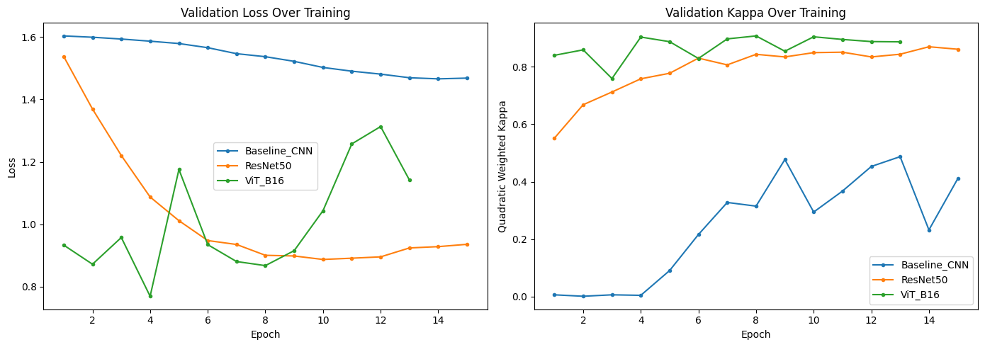 Validation quadratic weighted kappa across training epochs for the three models